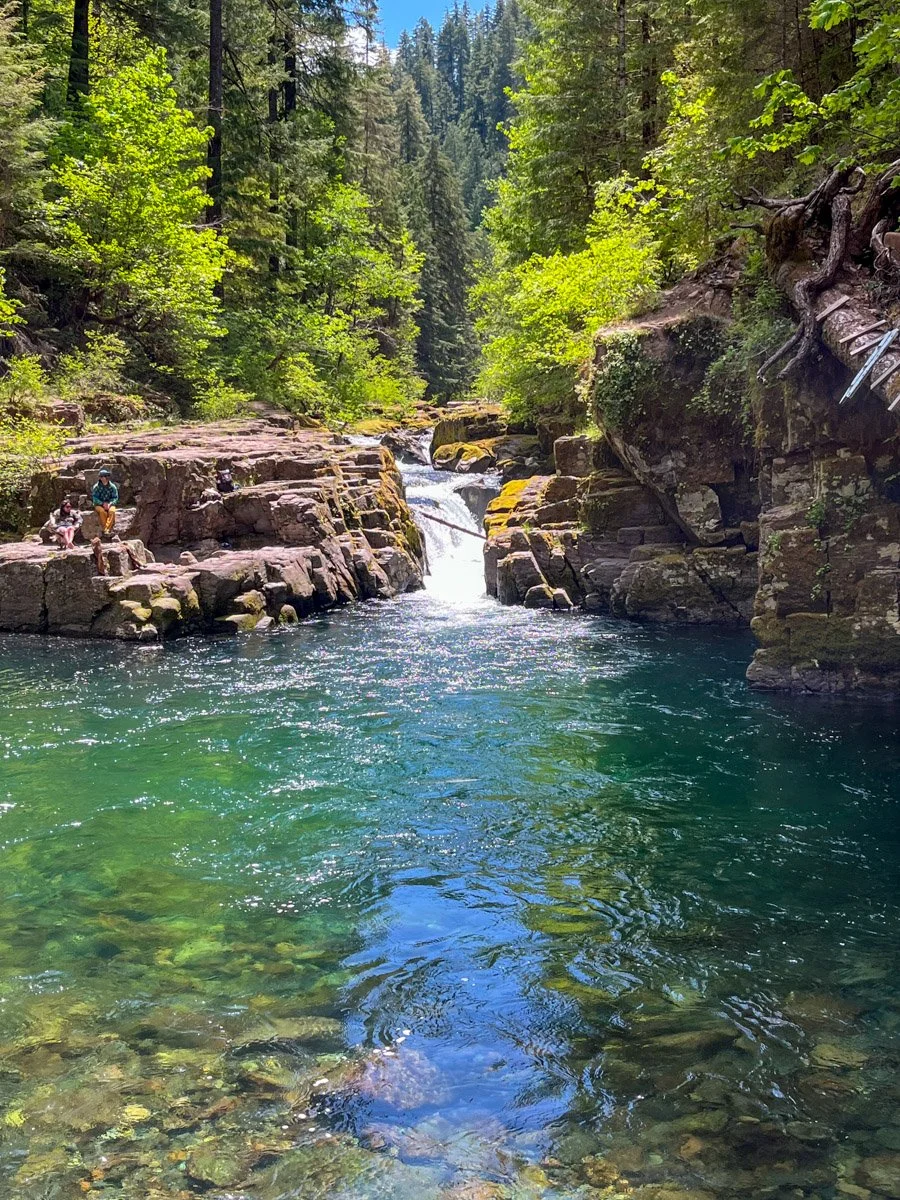Brice Creek Falls