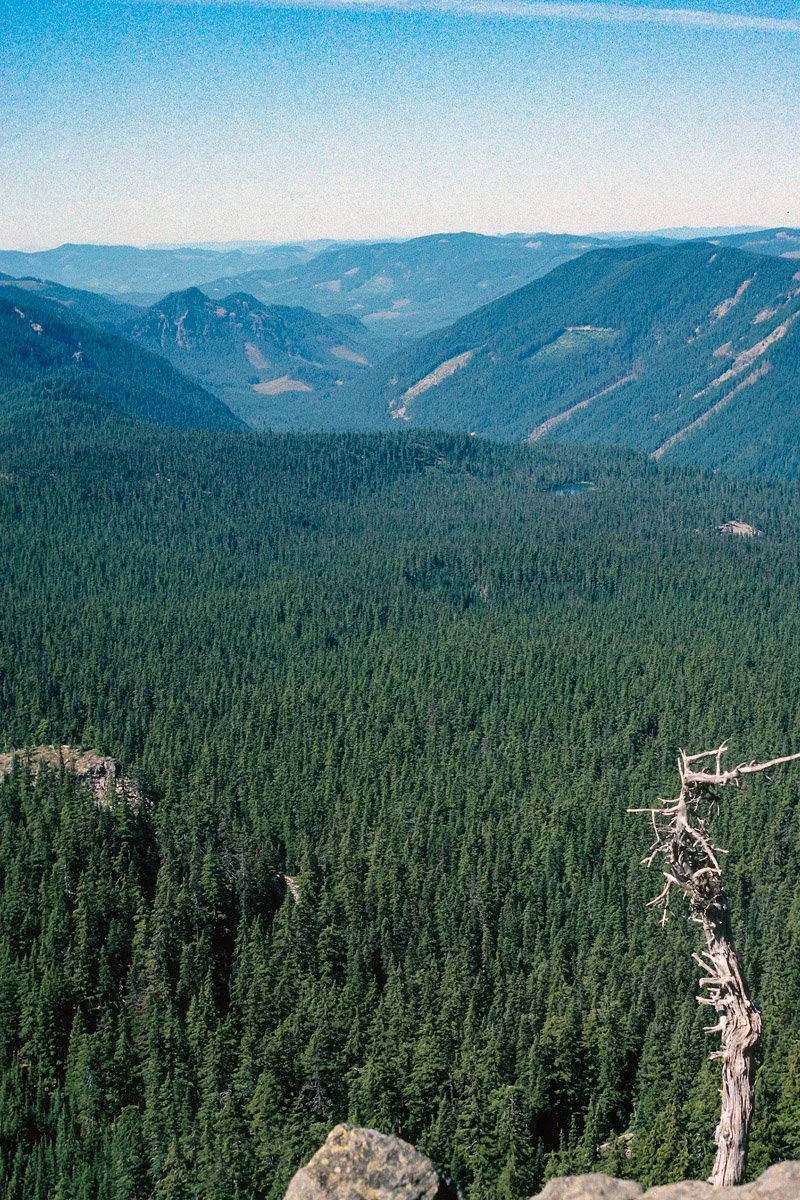 Black Creek from Fuji Mountain, pre-fire