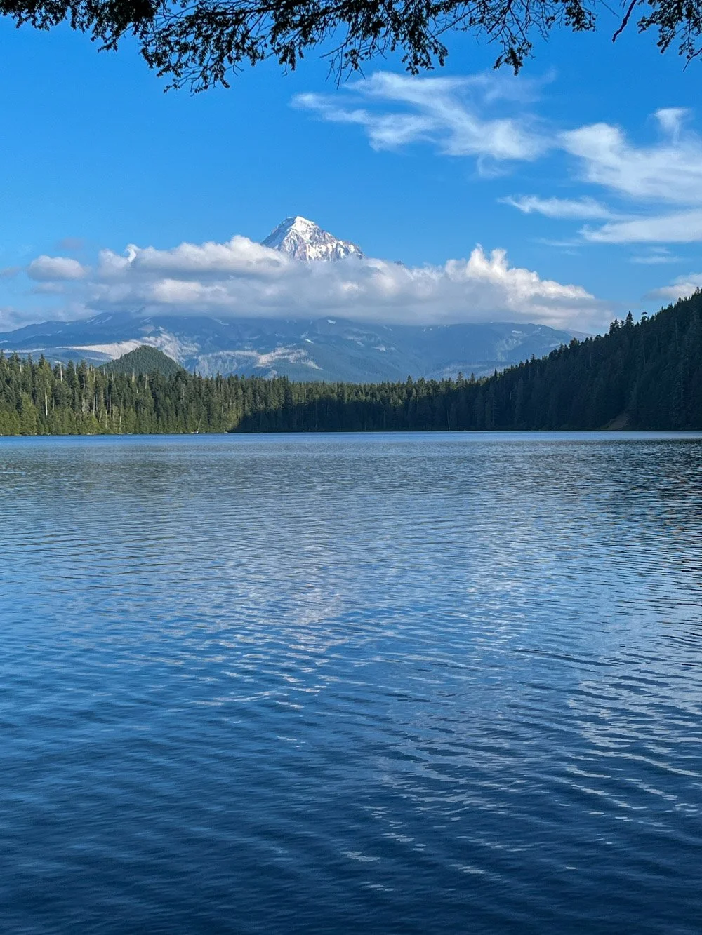 Mount Hood over Lost Lake