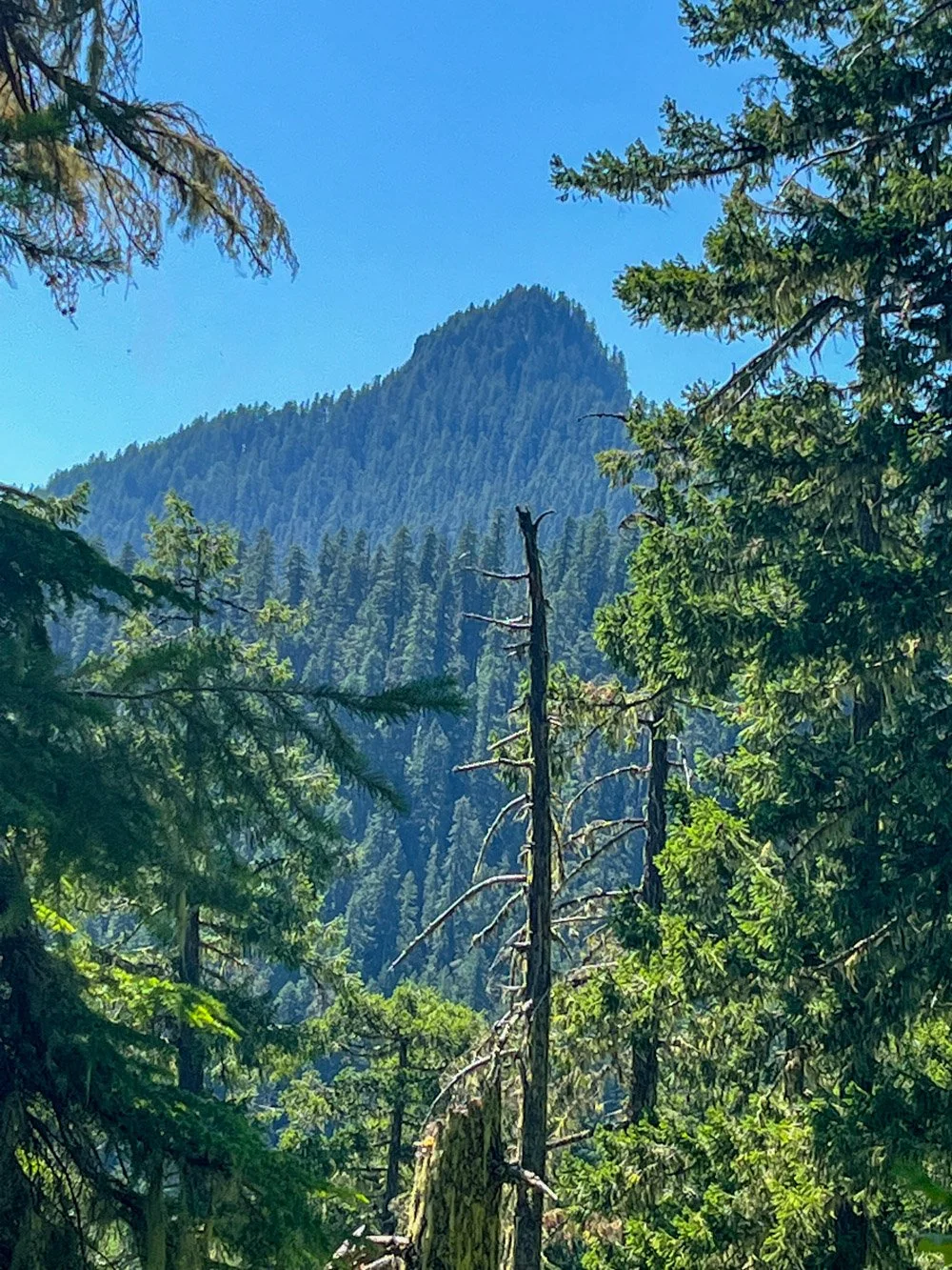 Chimney Peak