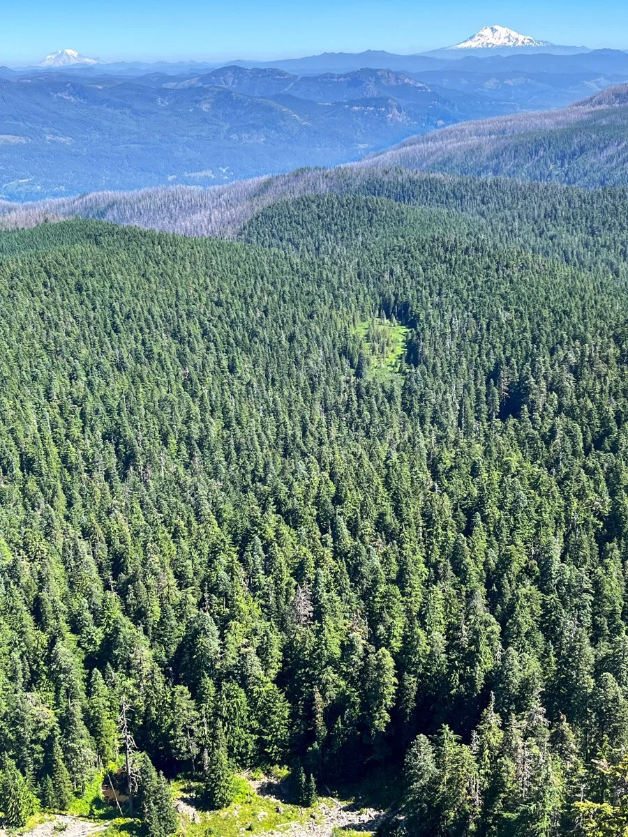 Larch Mountain Basin; Mt. Adams and Mt. Rainier; Eagle Creek Fire (2017)