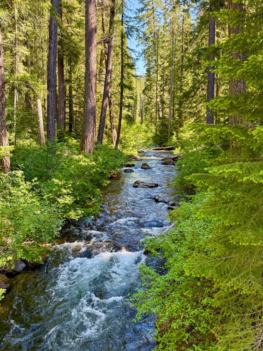South Fork Rogue River