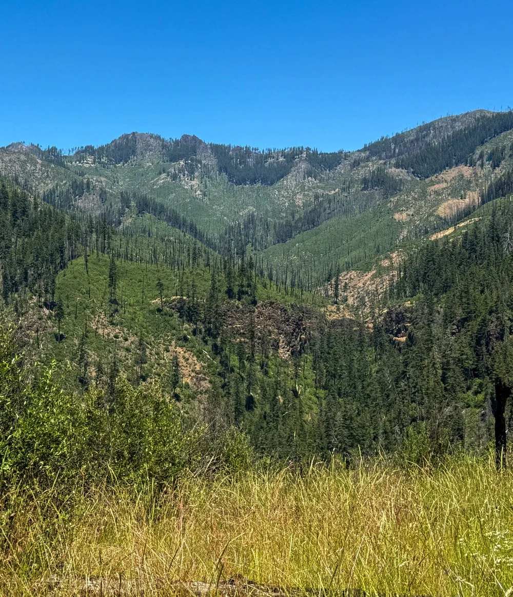 Rattlesnake Creek drainage, burned multiple times