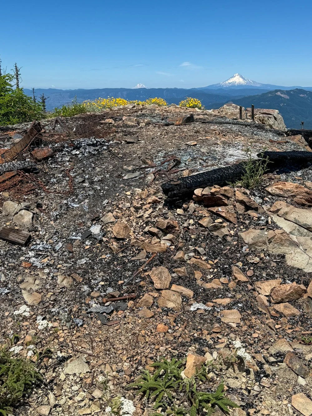 Site of the former Bull of the Woods Lookout, Mount Hood, Mount Adams