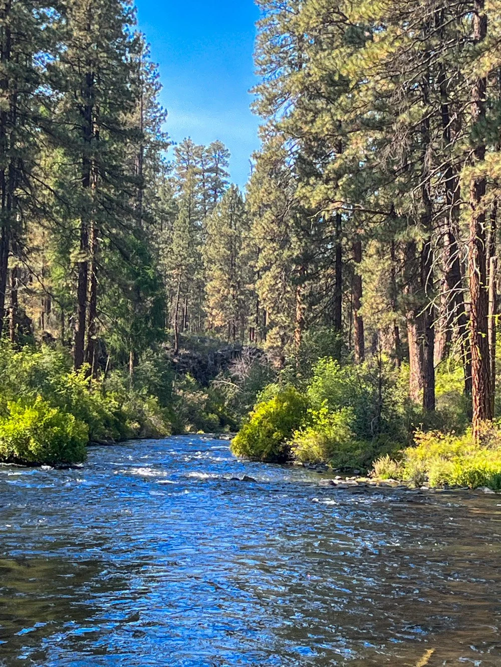 Metolious River