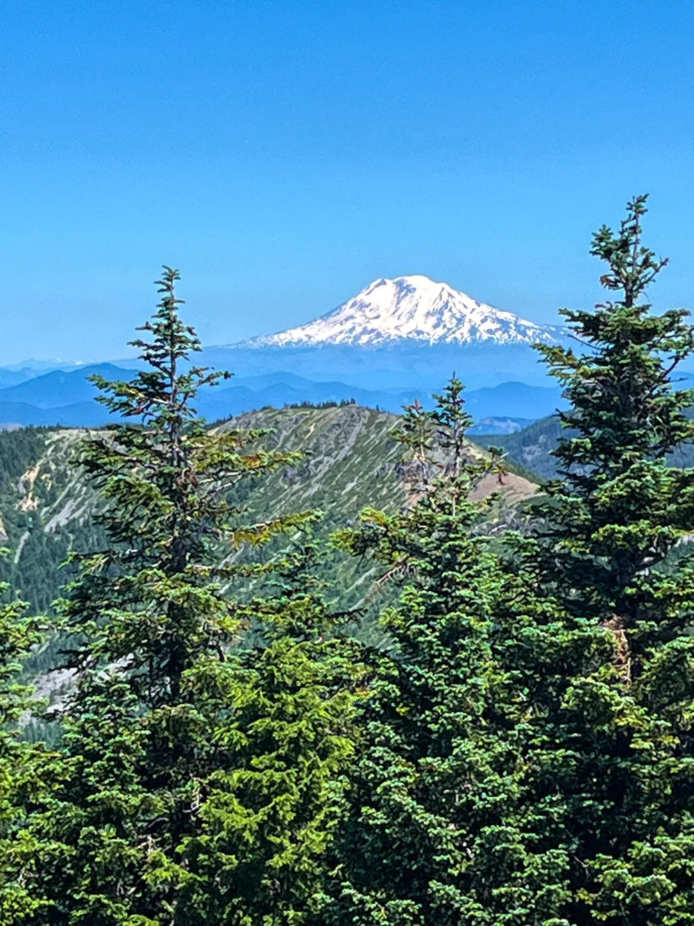 Mount Hood
