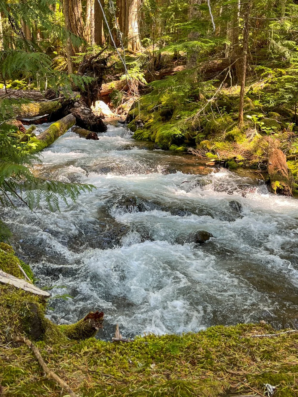 Frothy Pamelia Creek