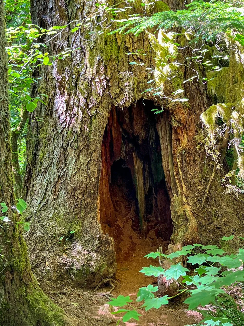Who's in there?