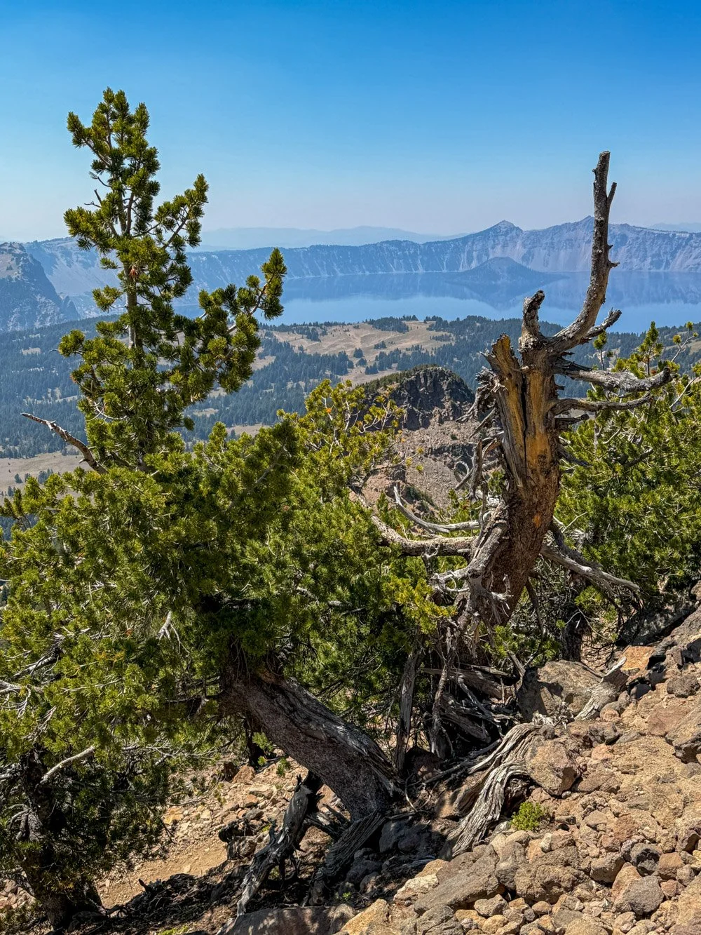 Crater Lake and Wizard Island