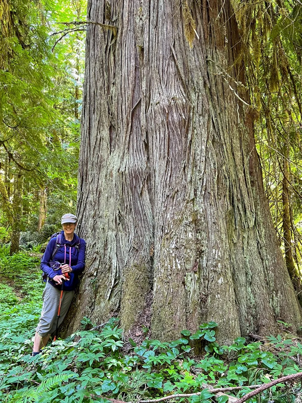 Diane and the big tree