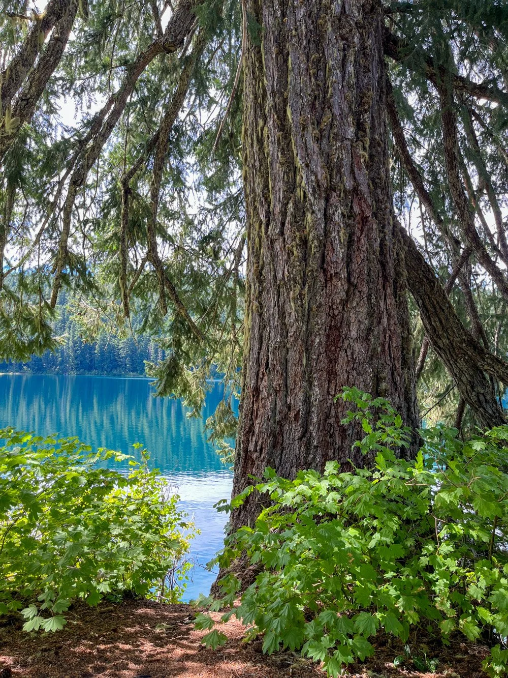 Lakeside respite