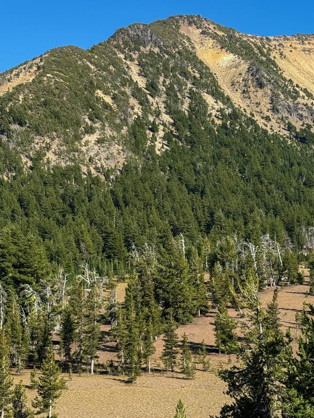 Mount Scott