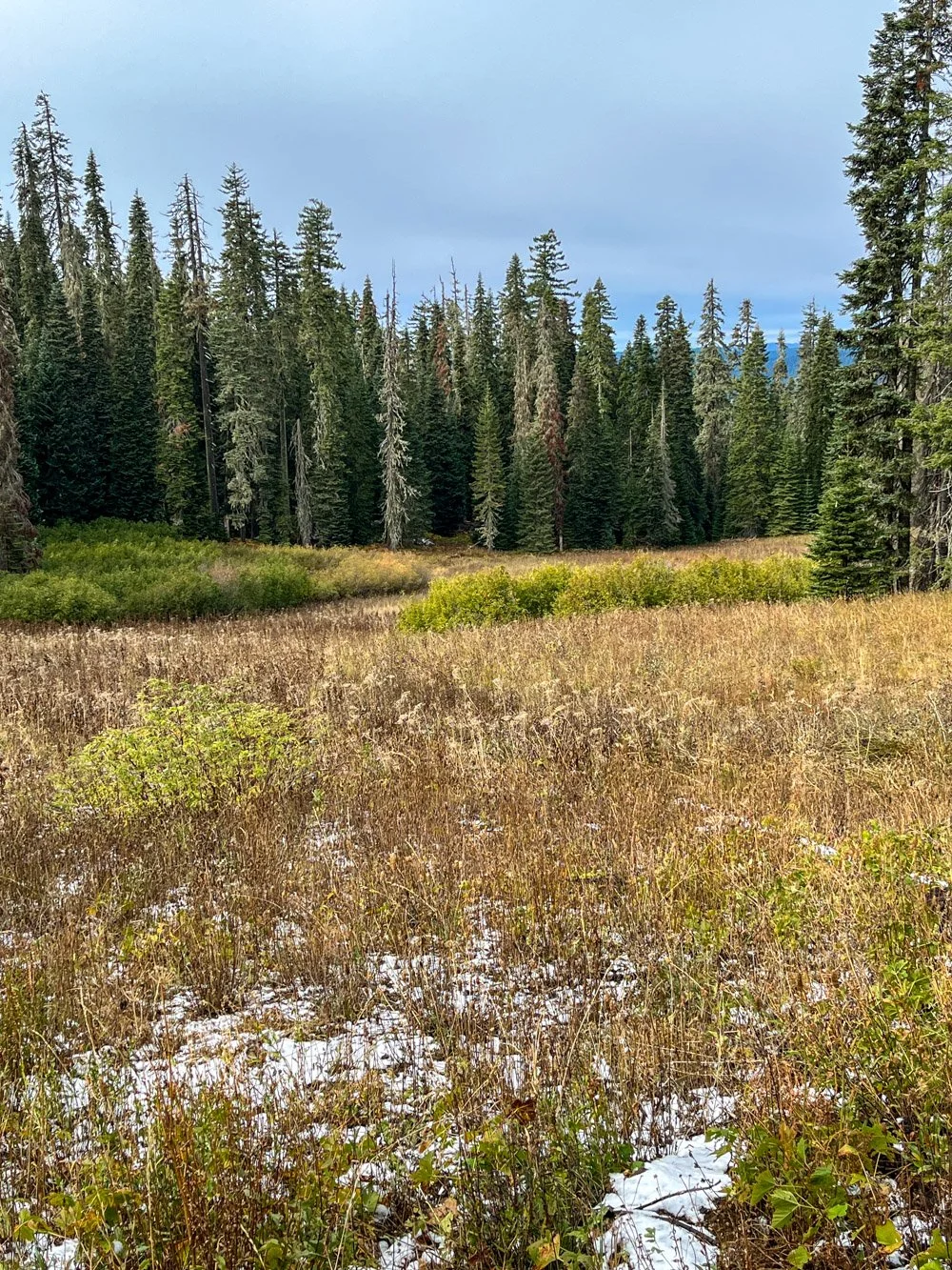 Interspersed meadows