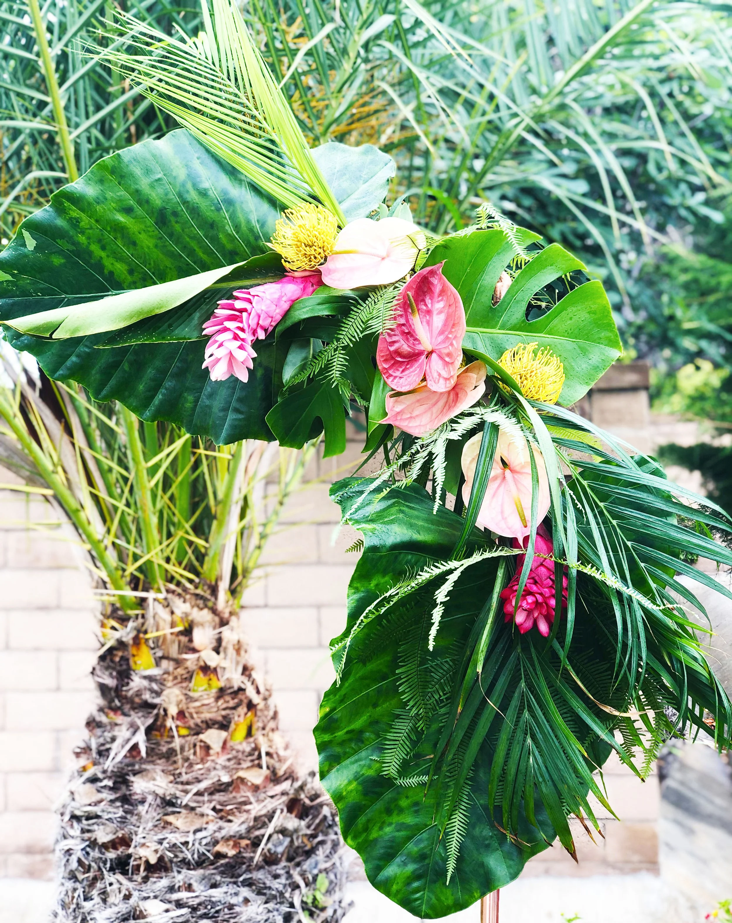 TROPICAL_1.jpg