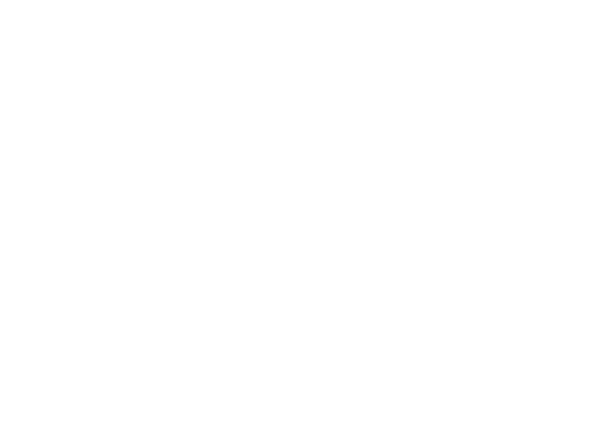 Brenna Ramirez / Creative Director &amp; Designer for Brands