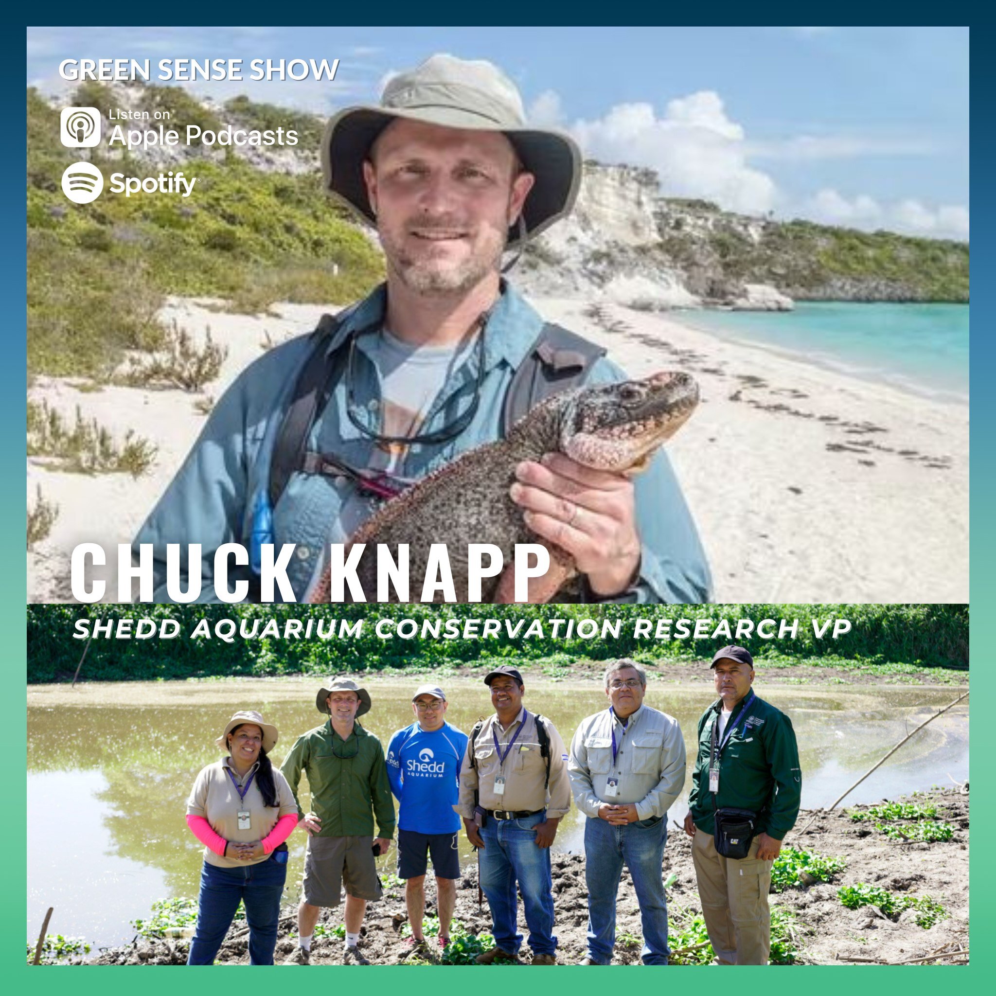 Listen to the new episode with Chuck Knapp, Vice President of Conservation Research at the Shedd Aquarium in Chicago. Chuck talks about his career, projects @shedd_aquarium and how people can get more engaged with conservation. #conservation #wildlif