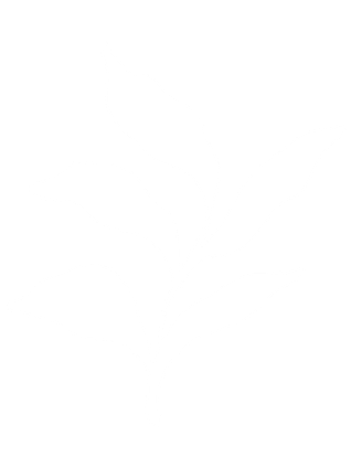A black and white illustration of a plant with five leaves.