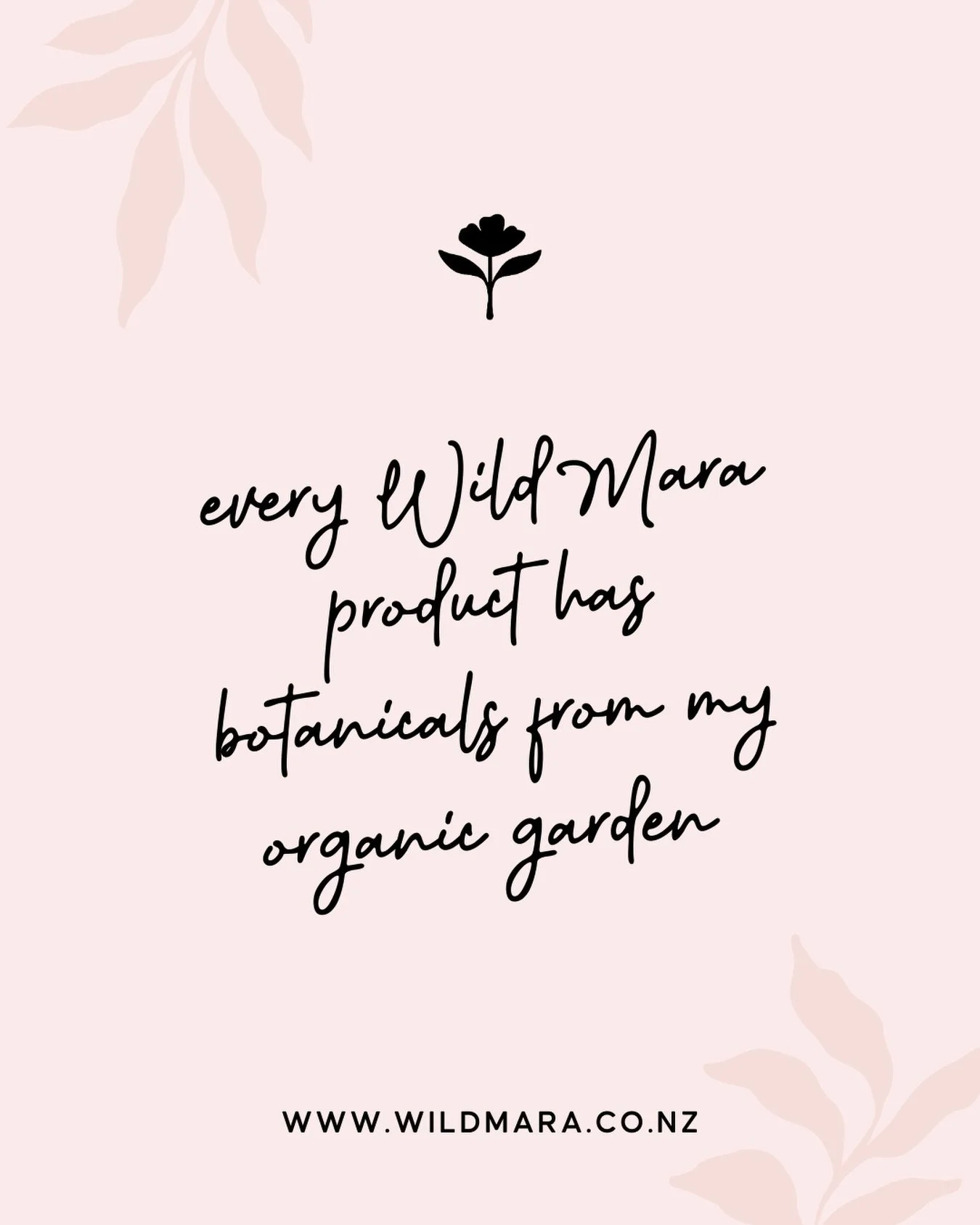 That&rsquo;s right!!!
 
Every product I formulate uses botanicals that I have grown in my spray-free organic garden. (or locally harvested like Kawakawa &amp; Eucalyptus). 

Pharmacist formulated using science backed evidence &amp; nature!!!

Natural