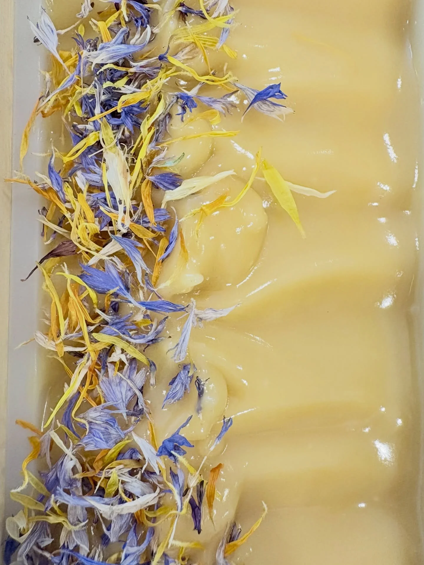 Freshly made Calendula &amp; Shea Soap. 💛
There's something special about crafting this soap. The simplicity of its design and formulation is part of its charm.
The high percentage of creamy Ghanaian unrefined Shea Butter and organic Calendula infus