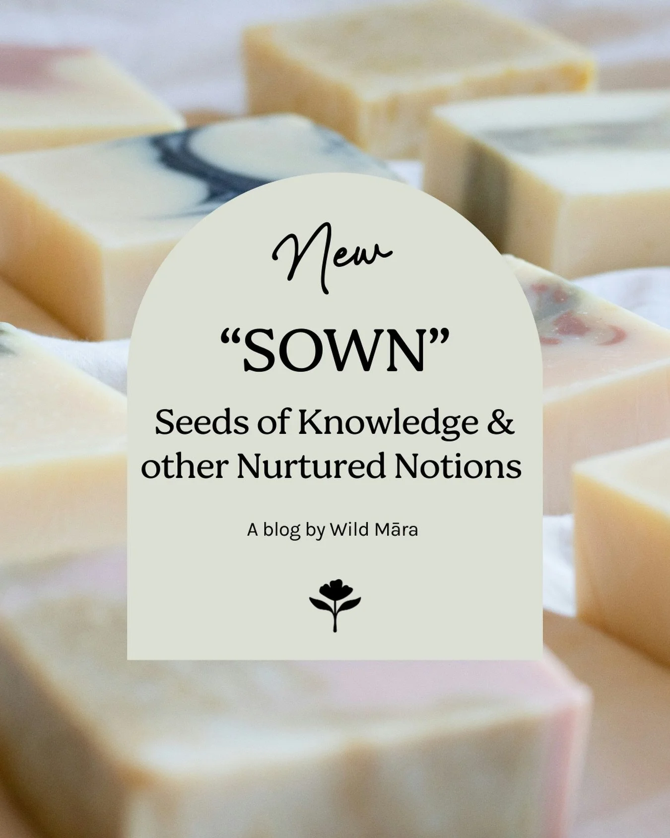 NEW!! &hellip;&hellip;&hellip;&hellip;&hellip;..&rdquo;SOWN&rdquo;

A blog by Wild Māra 🌸
-little seeds of knowledge &amp; other nurtured notions. 

My first blog post is up on my website. Check it out and let me know what you think? Also, let me kn