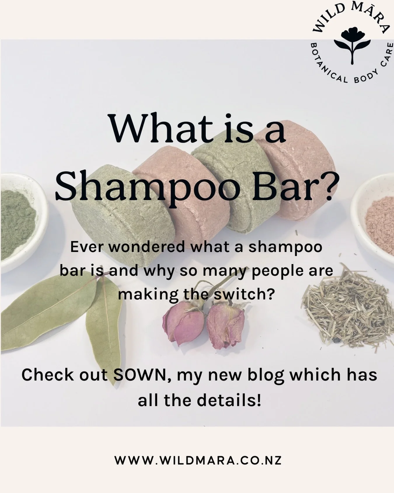 NEW on &ldquo;SOWN&rdquo; - my blog featuring little seeds of knowledge &amp; other nurtured notions. 
Check it out on my website 💕

www.wildmara.co.nz/blog