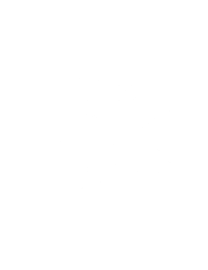 Silhouette of a flower with five petals and five stamen on a black background.
