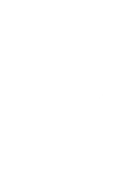 A simple white silhouette of a sprig with elongated leaves on a black background.