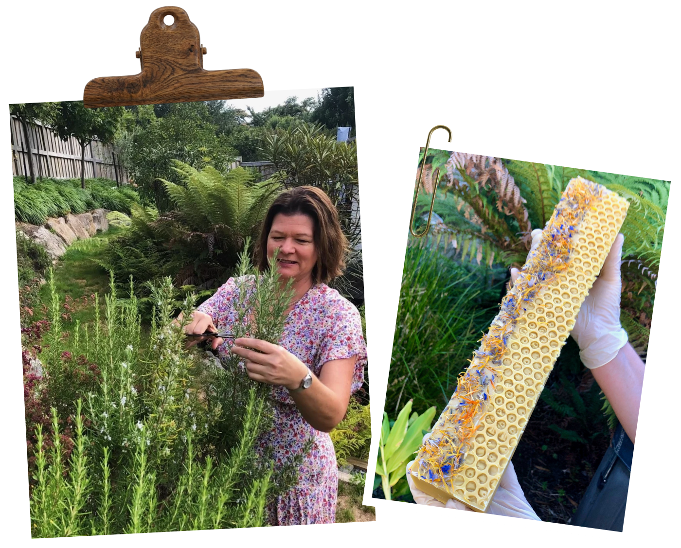 Wild Māra - Botanical Soaps and Body Care New Zealand