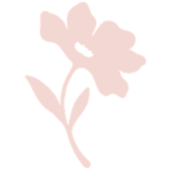 Simple pink flower with five petals and a leaf on a stem