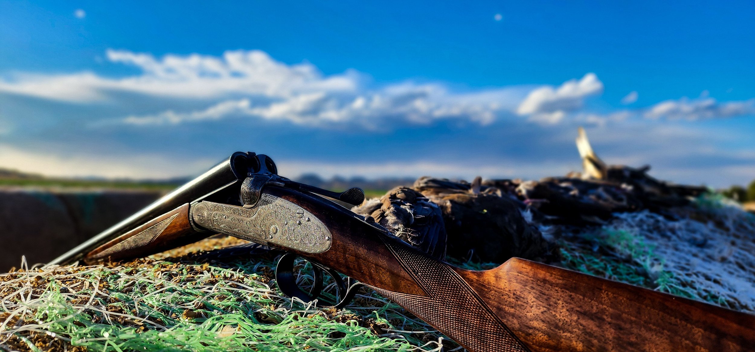 Montana Bird Hunting 