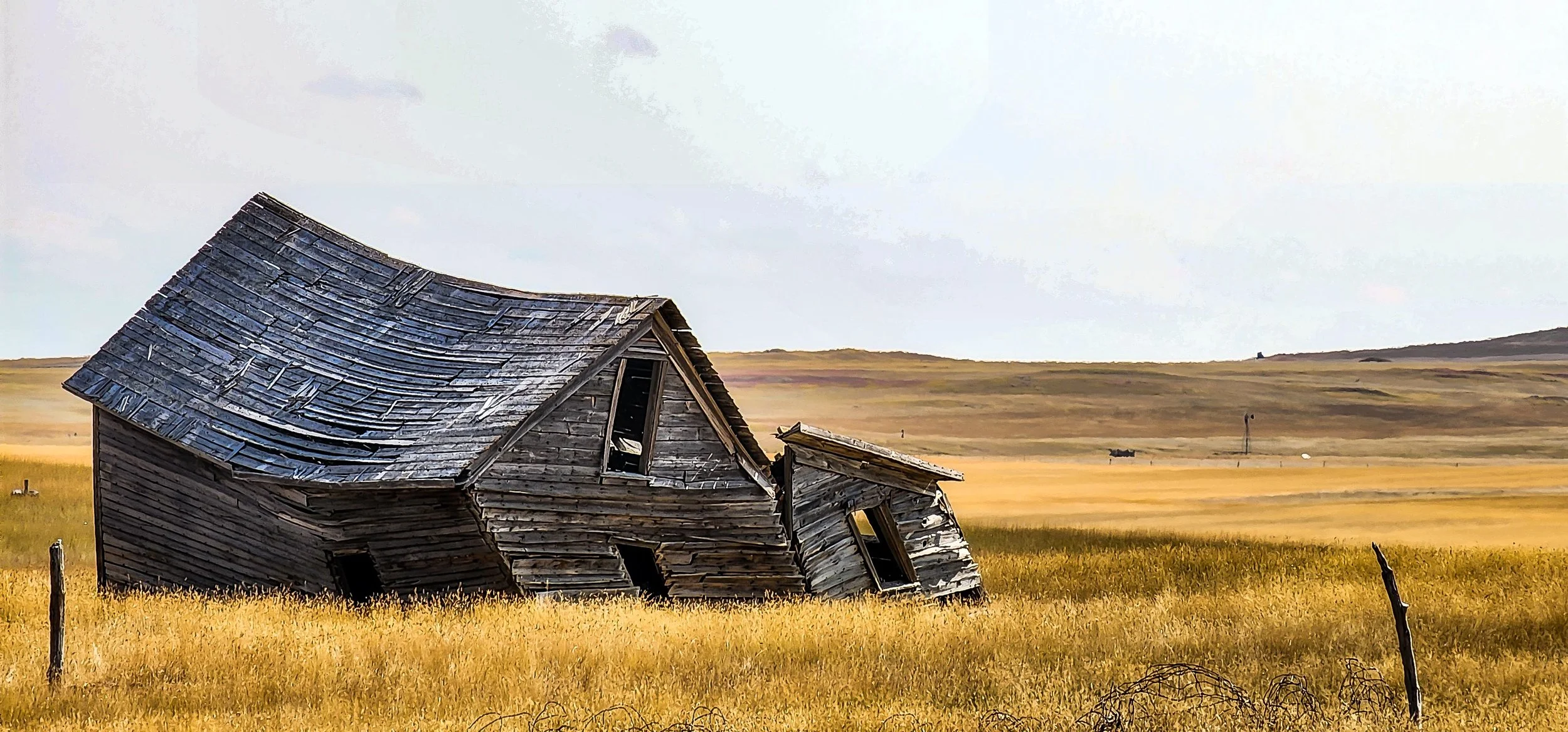 Upland Hunting Montana