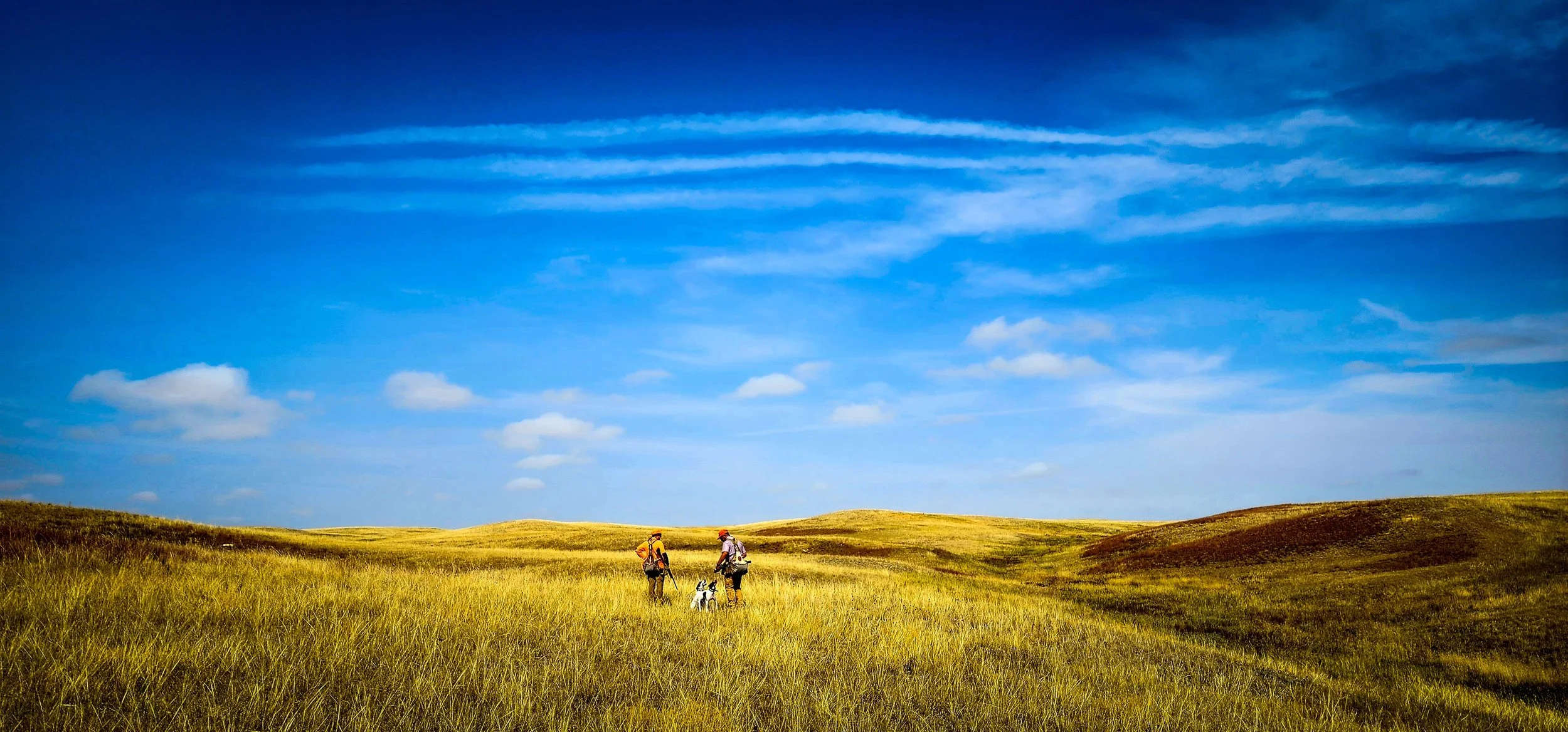 Upland Hunting Montana