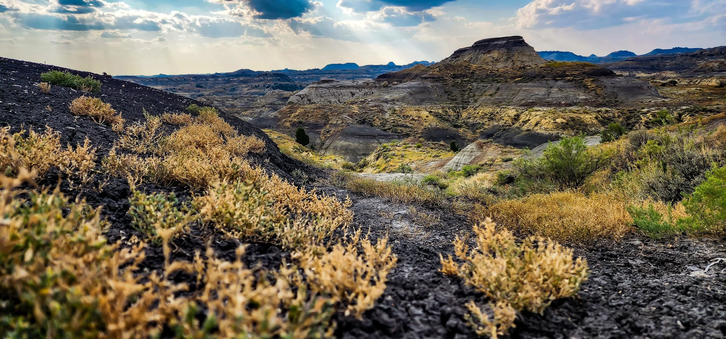 Montana Wing Shooting