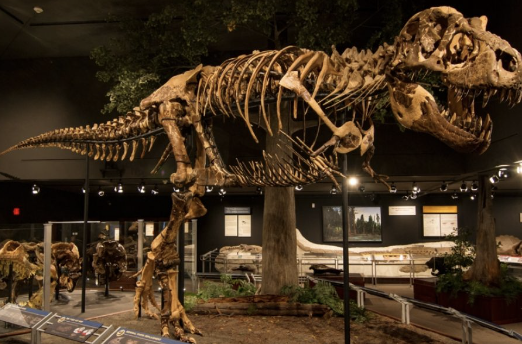 Screen Shot 2022-12-20 at 9.04.29 AM.png