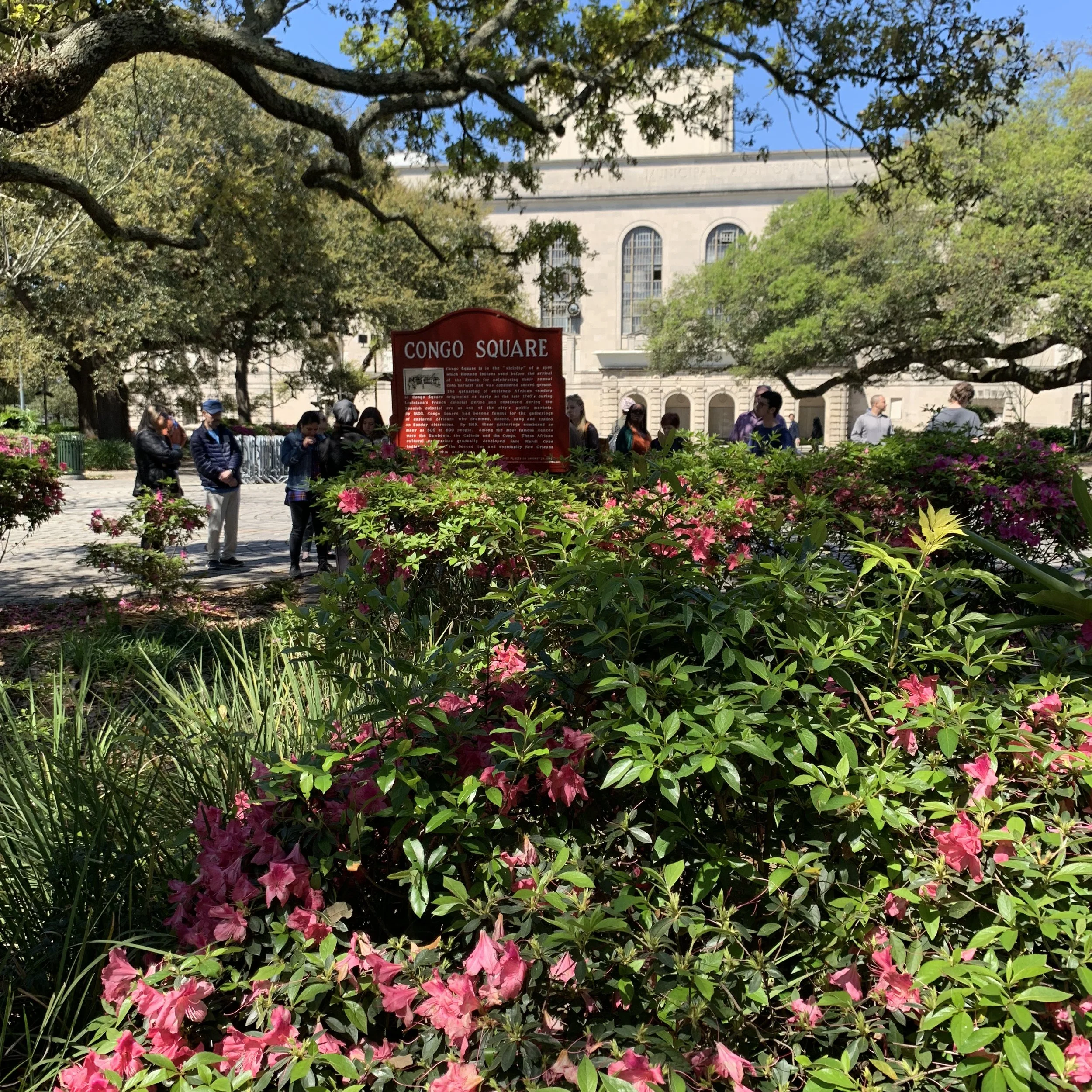IMG_0135.jpeg