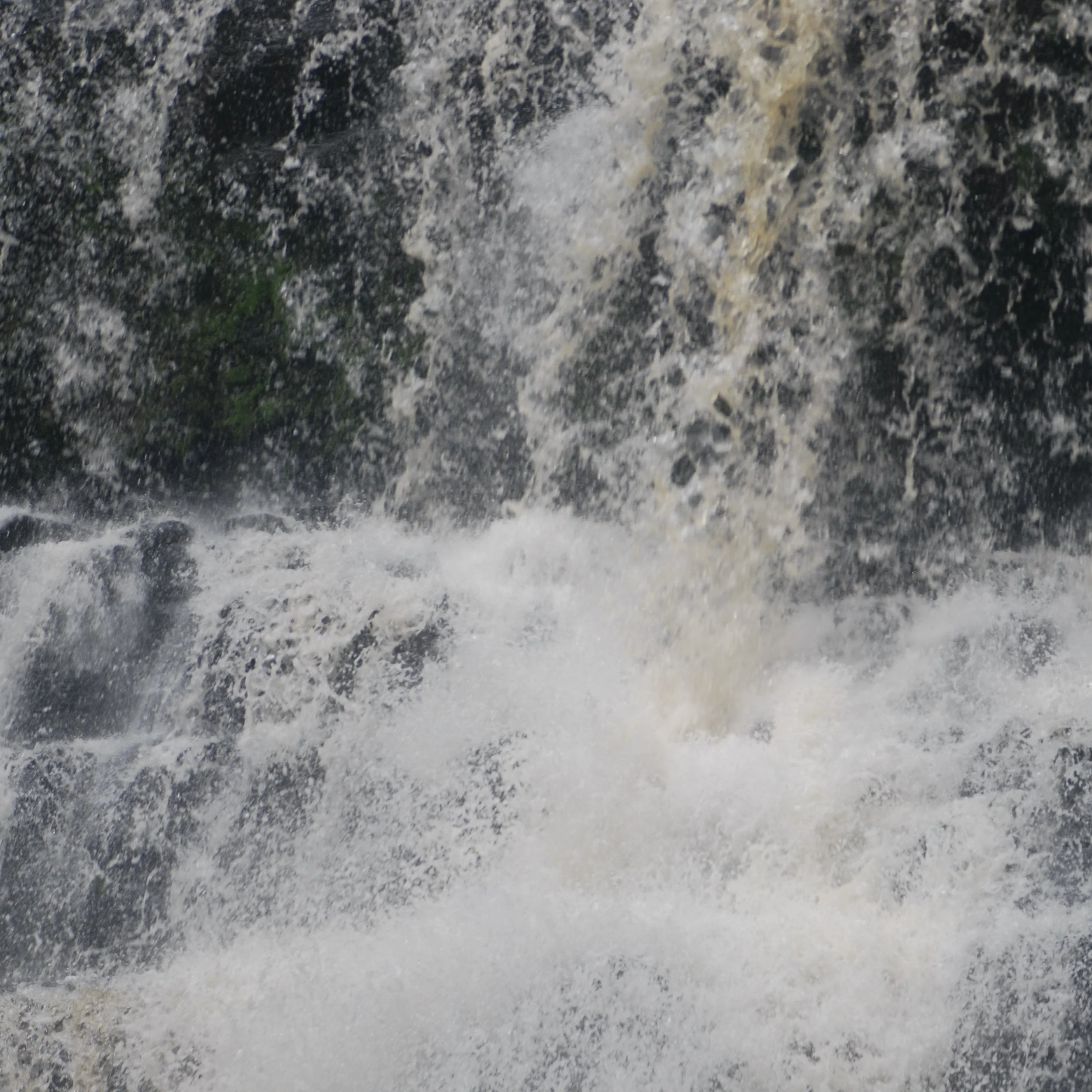 DSC_0192.JPG
