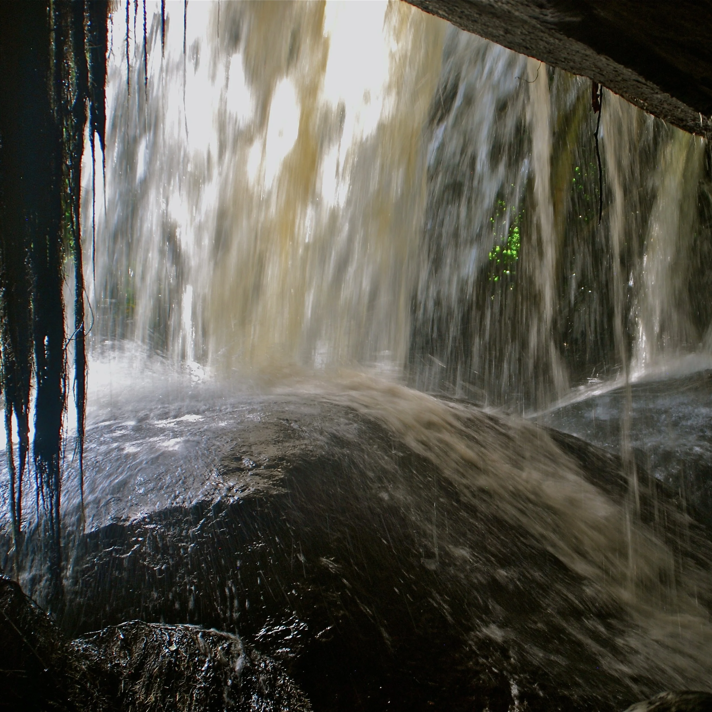 DSC_0217.JPG