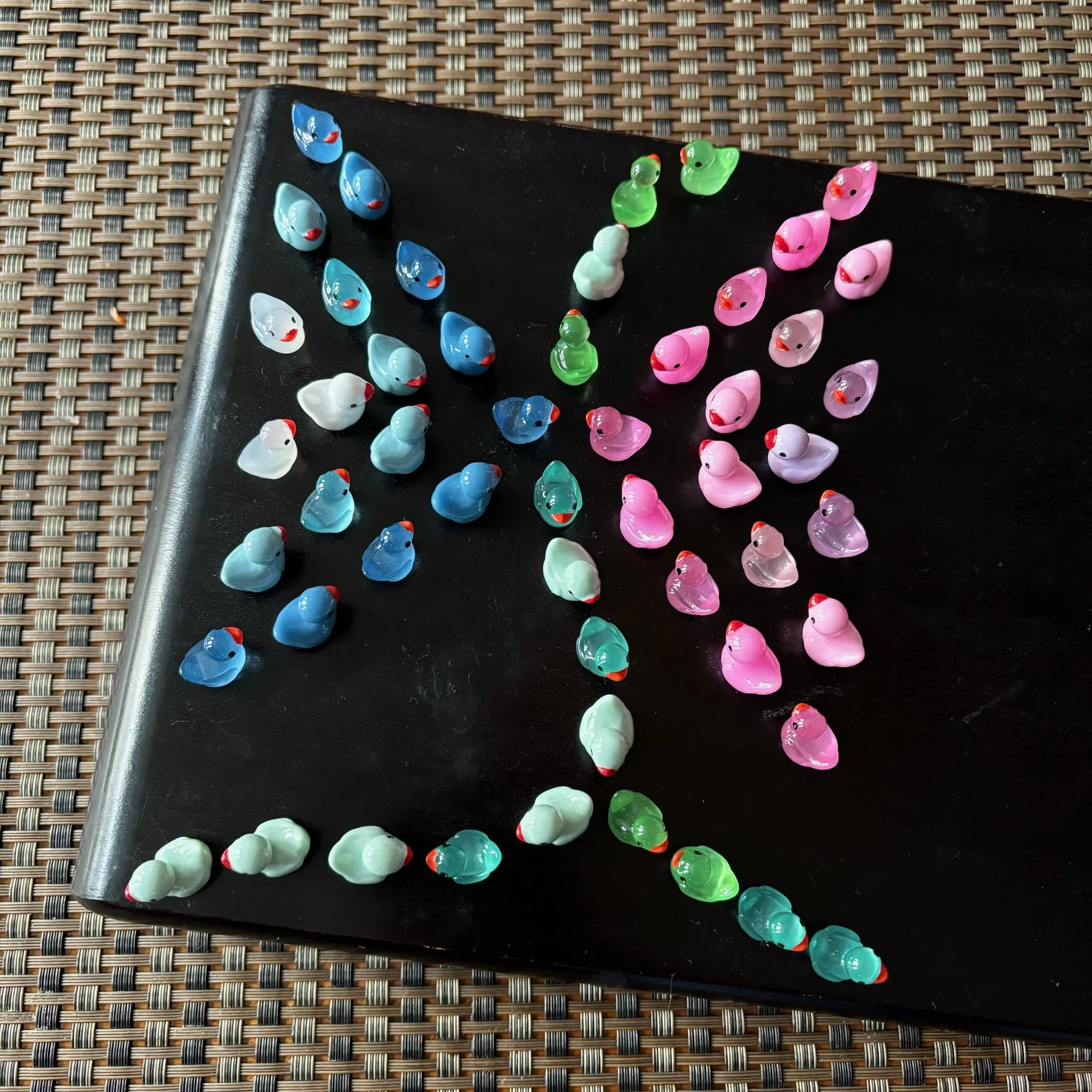 Ducks Philly 12.jpeg