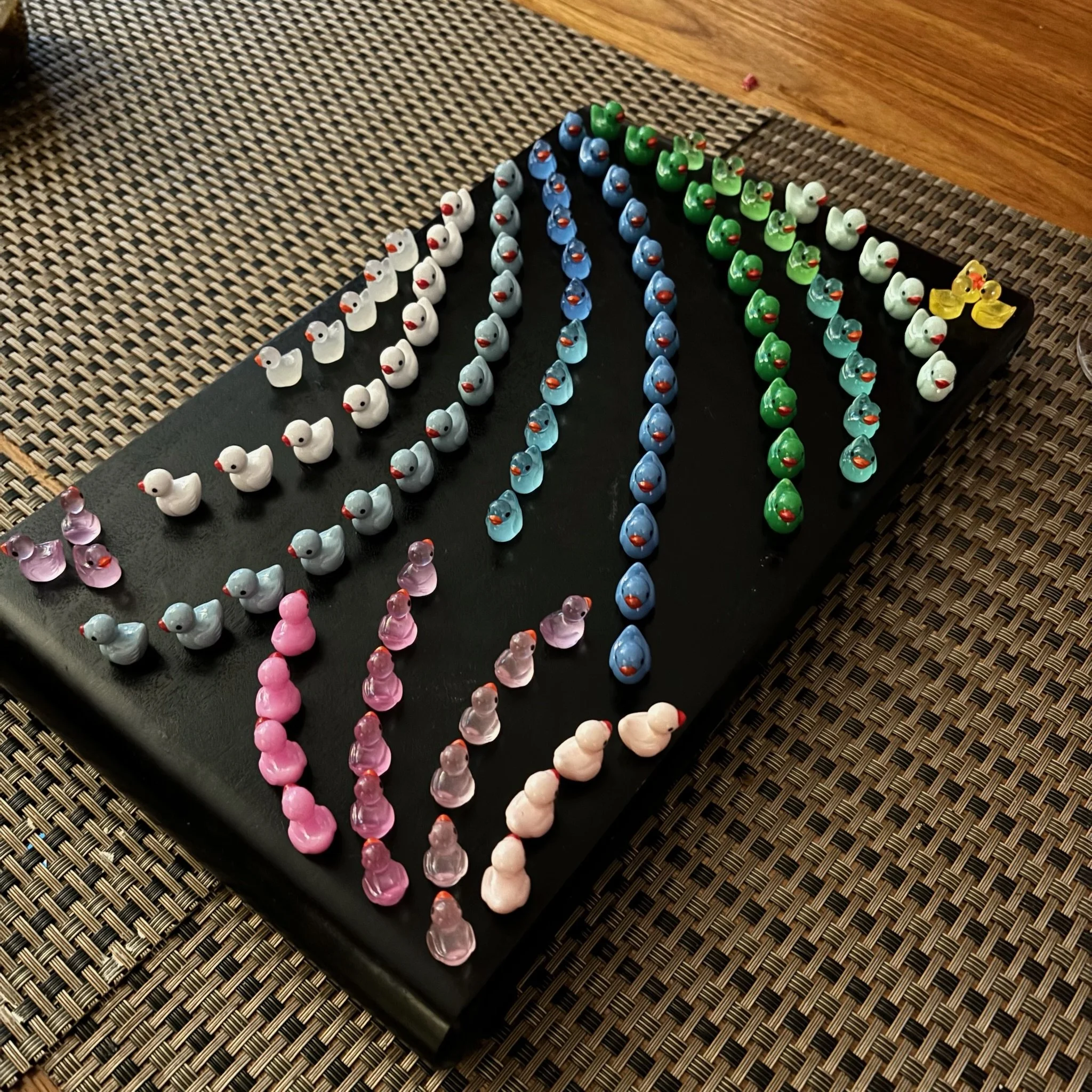 Ducks Philly 13.jpeg