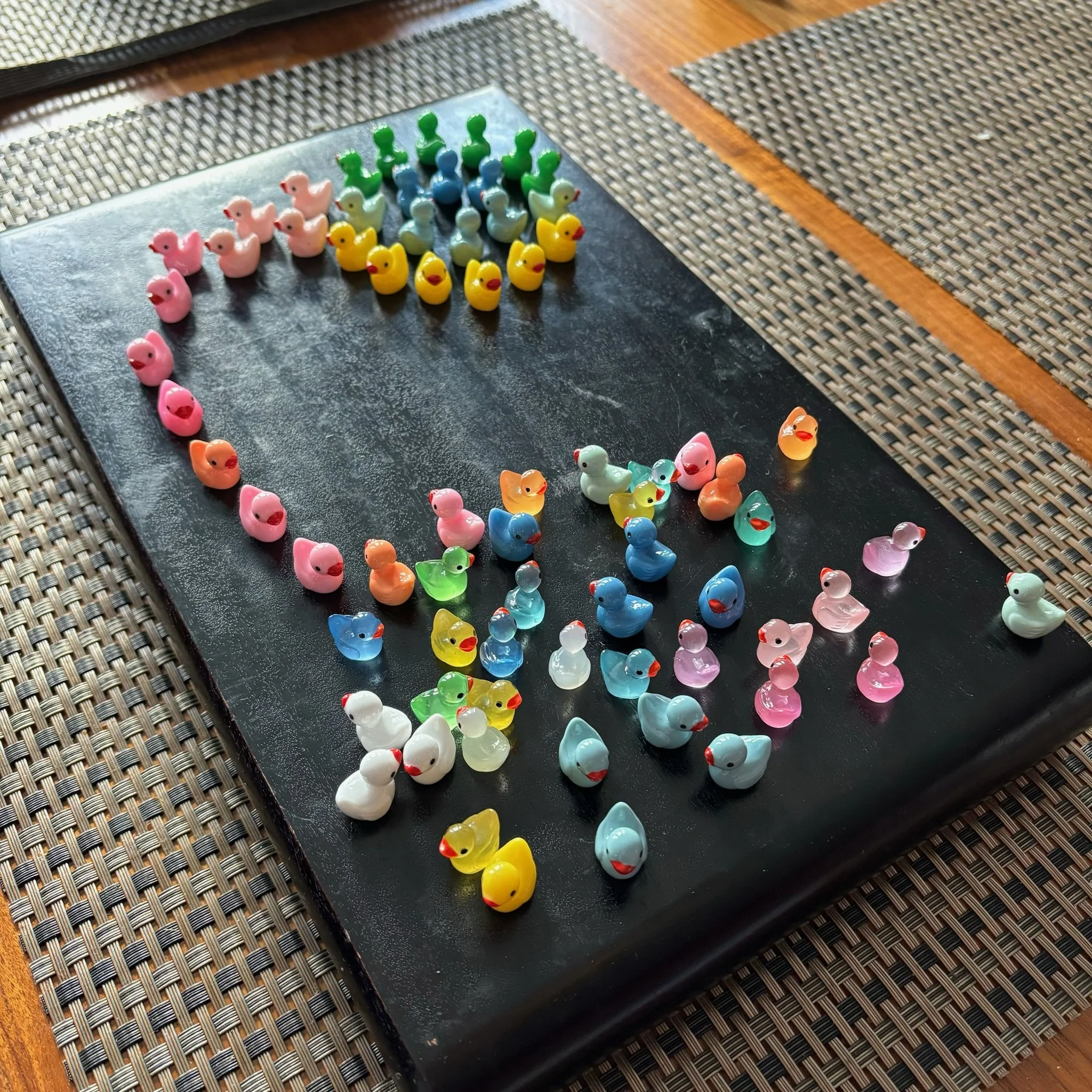 Ducks Philly 14.jpeg