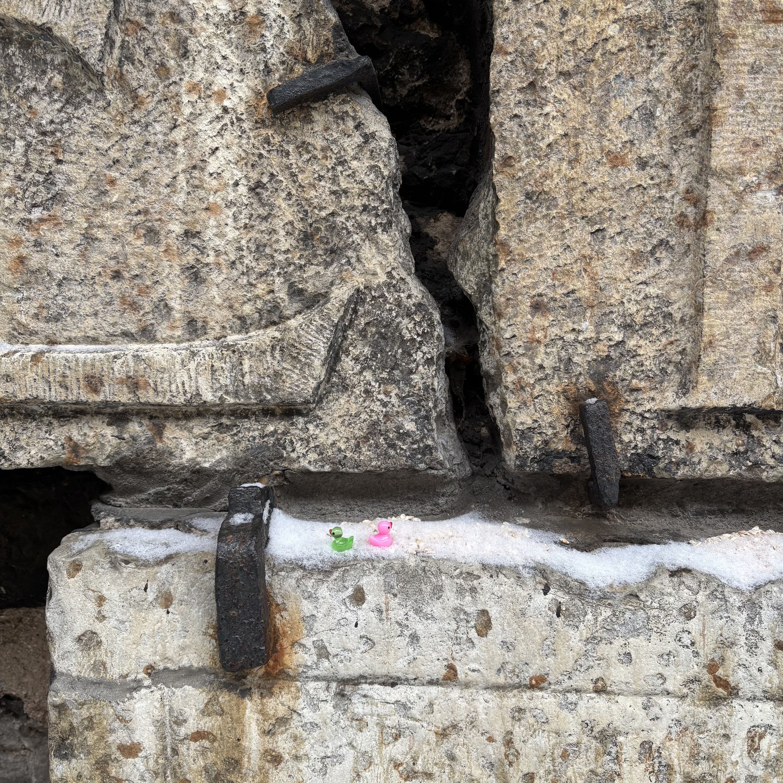4-IMG_2015.jpeg