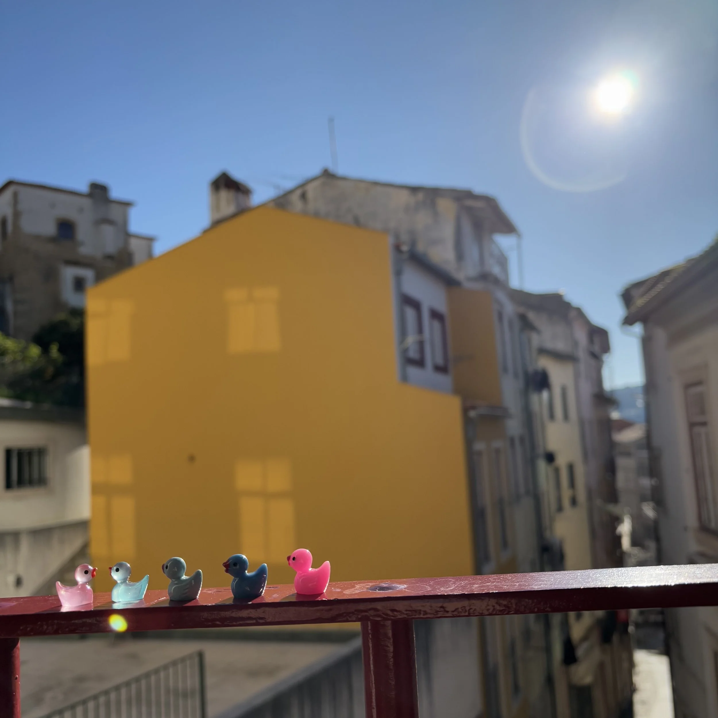 8-IMG_6673.jpeg