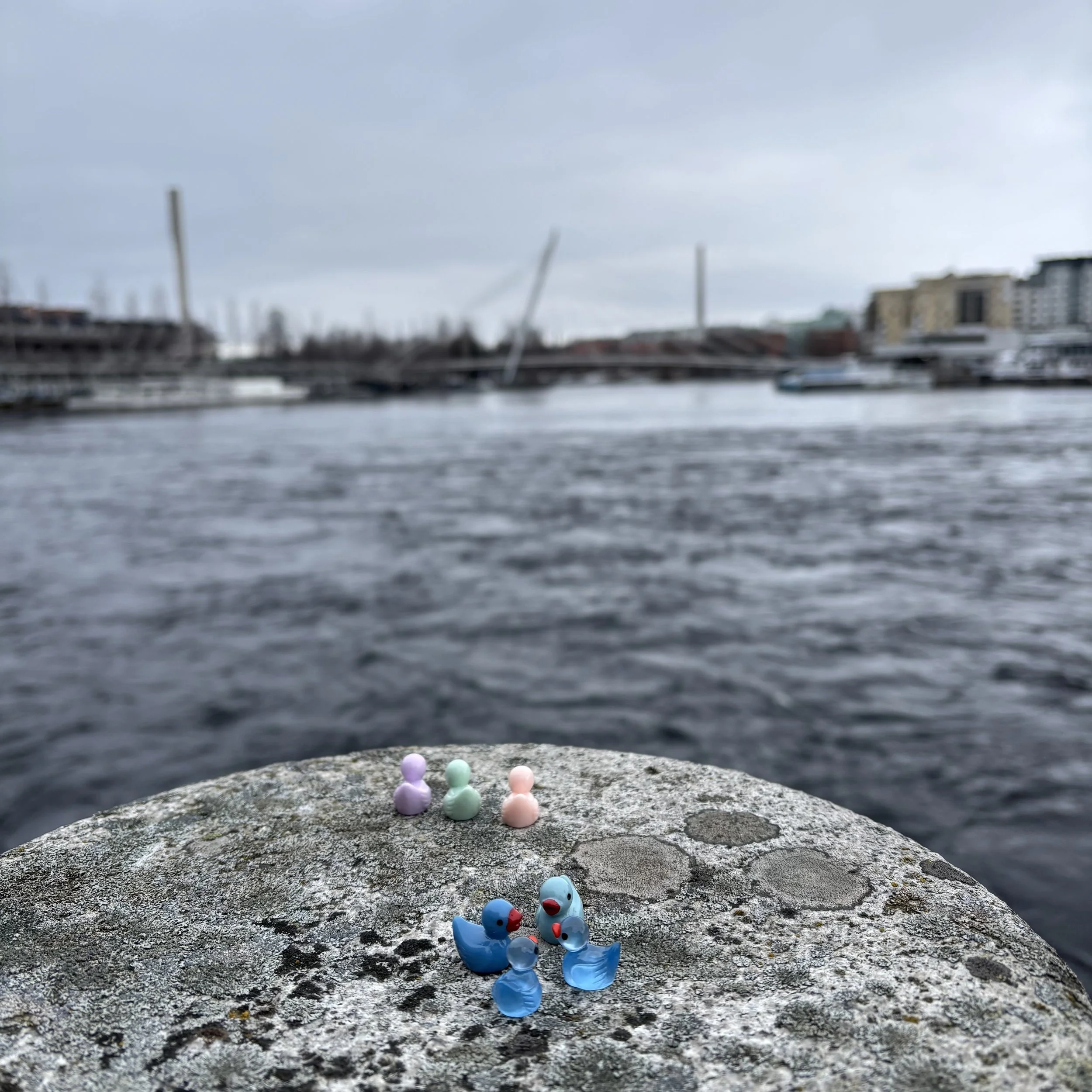 2-IMG_7744.jpeg