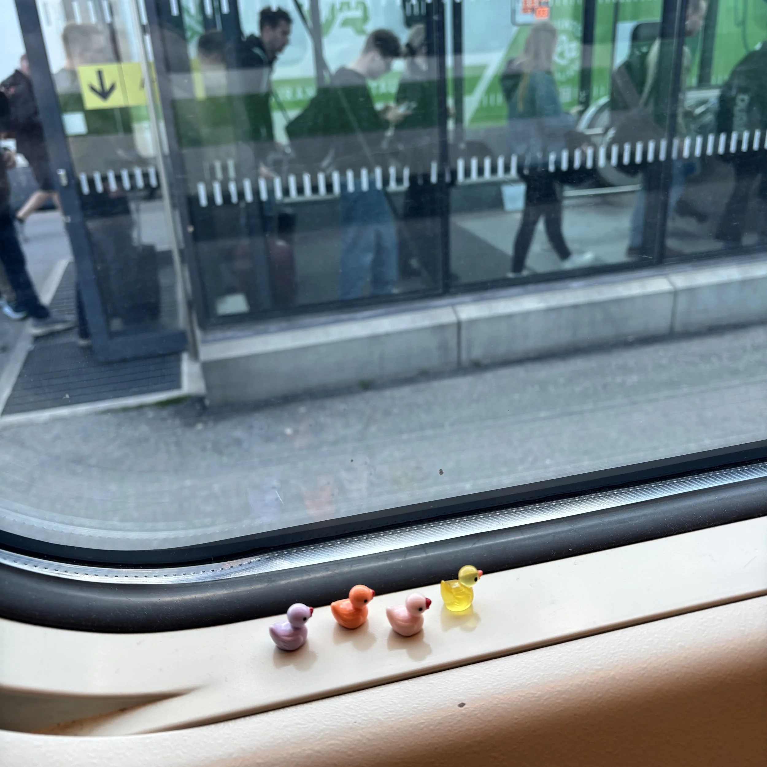 3-IMG_8313.jpeg