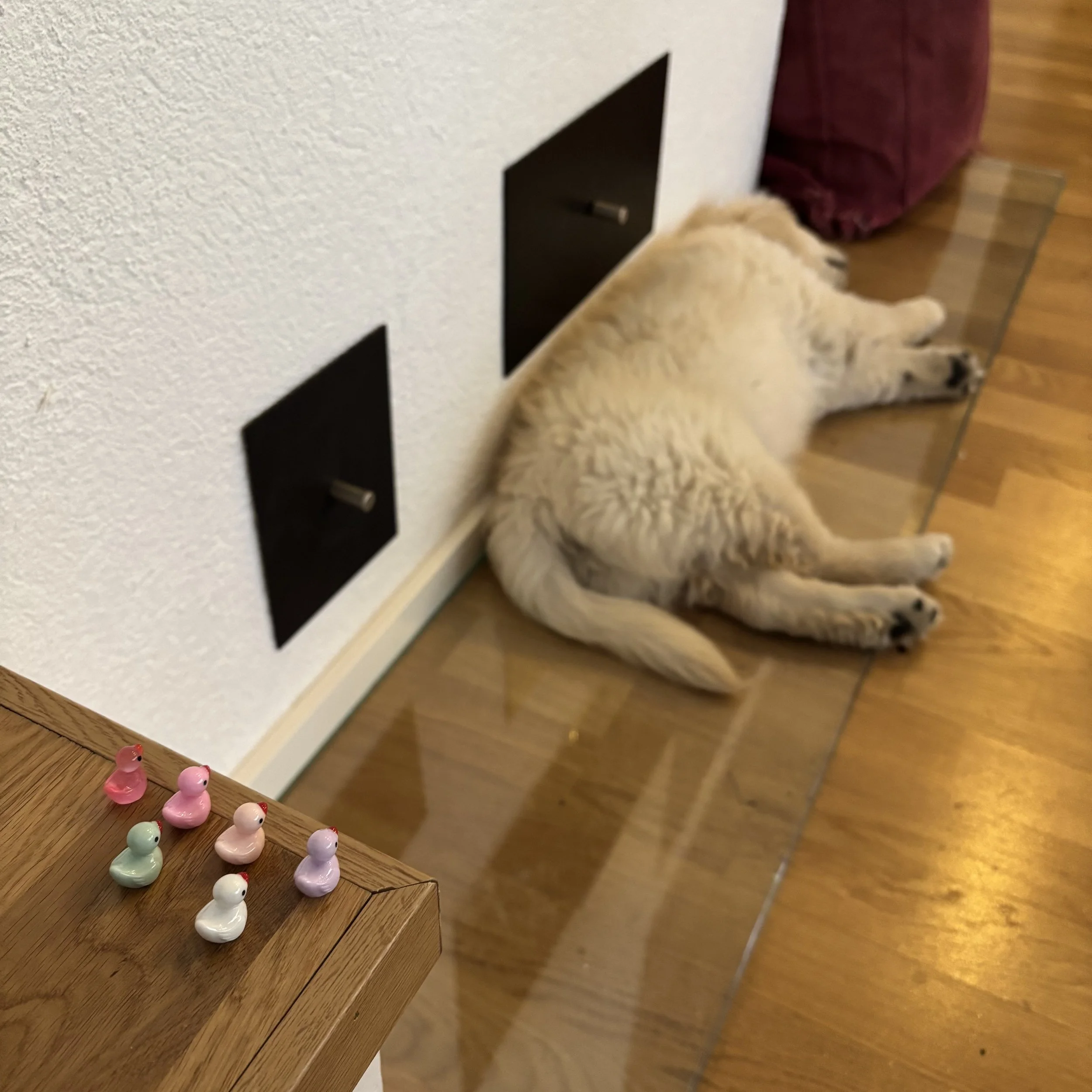 1-IMG_8446.jpeg