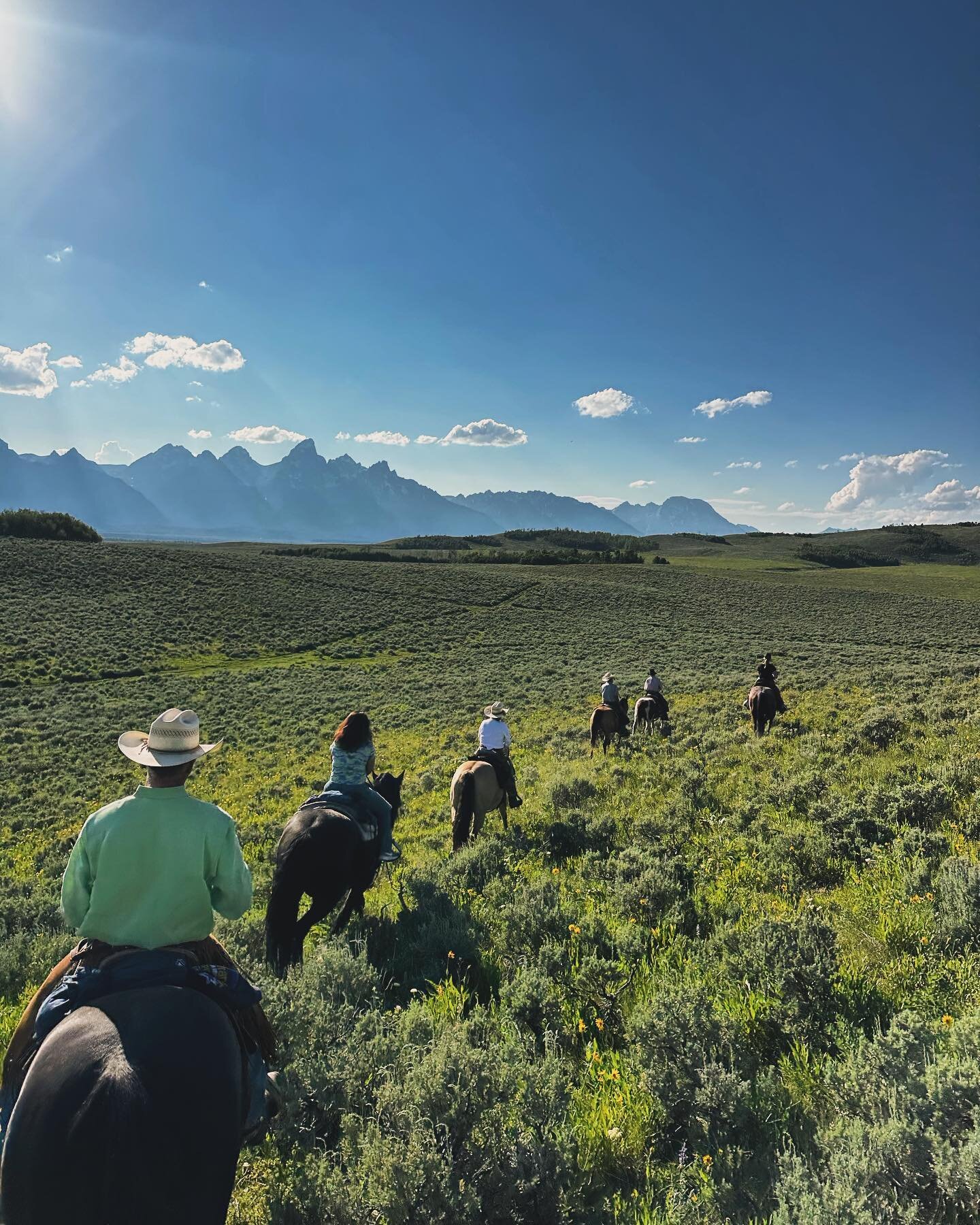 Book your seat in a saddle with JH Outfitting Company to see the best view of the Tetons Wyoming has to offer! Teton Tapas dinner rides Friday-Sunday, custom tailored trail rides any day of the week! Link in bio for more info.

www.jhoutfittingcompan