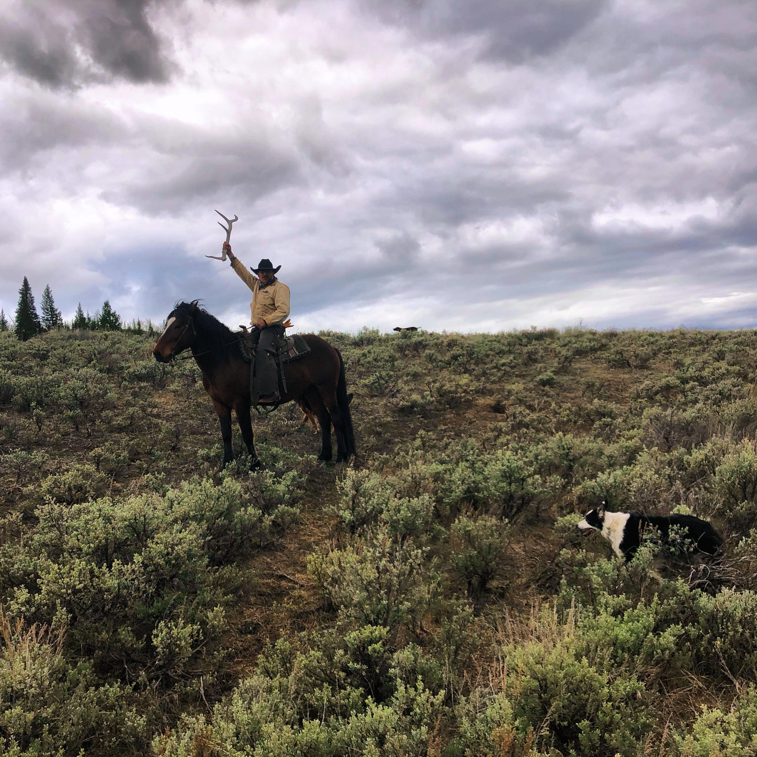Spring Trail rides start the second week of May and are filling up quick. Book your seat in a saddle while they last!

www.jhoutfittingcompany.com

#trailride #horse #vacation #bucketlist #hornhunter #hornhunting #wyoming #antlers #grandtetonnational