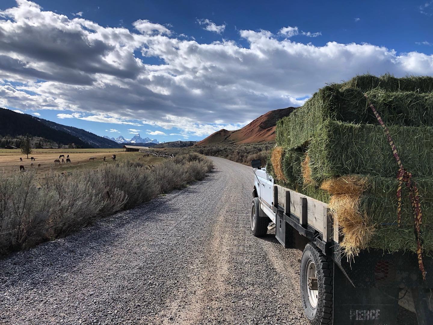 If your going to work job with long hours, make sure it has a nice office view! Cowboy logic pure and simple. Get on a Trail Ride with JH Outfitting Company and let us show you the best view of the Tetons in the Valley! Link in bio for more info.

ww