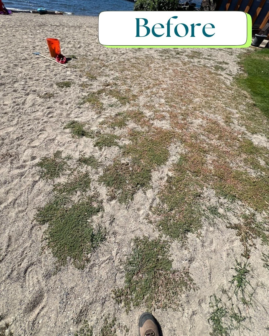 Trimmed. Tidy. Transformed.
Blue Lime handles it all — landscaping, street sweeping, pressure washing, repairs, and more.
Your Property. Our Priority.