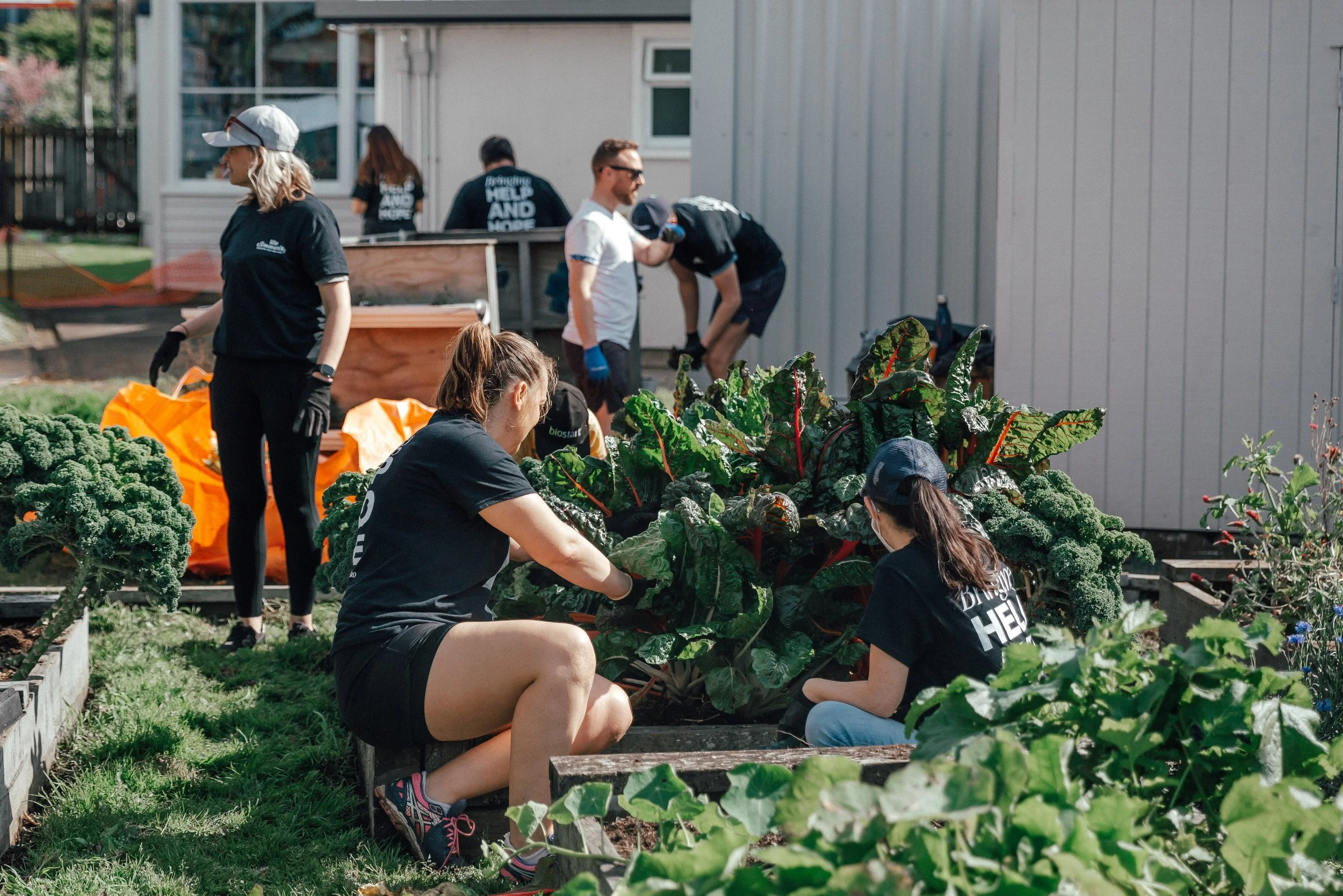 Glen Taylor School - Glen Innes